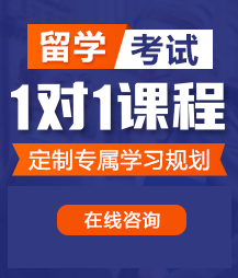 男的把jb插入风骚丰满少妇的粉嫩的b留学考试一对一精品课